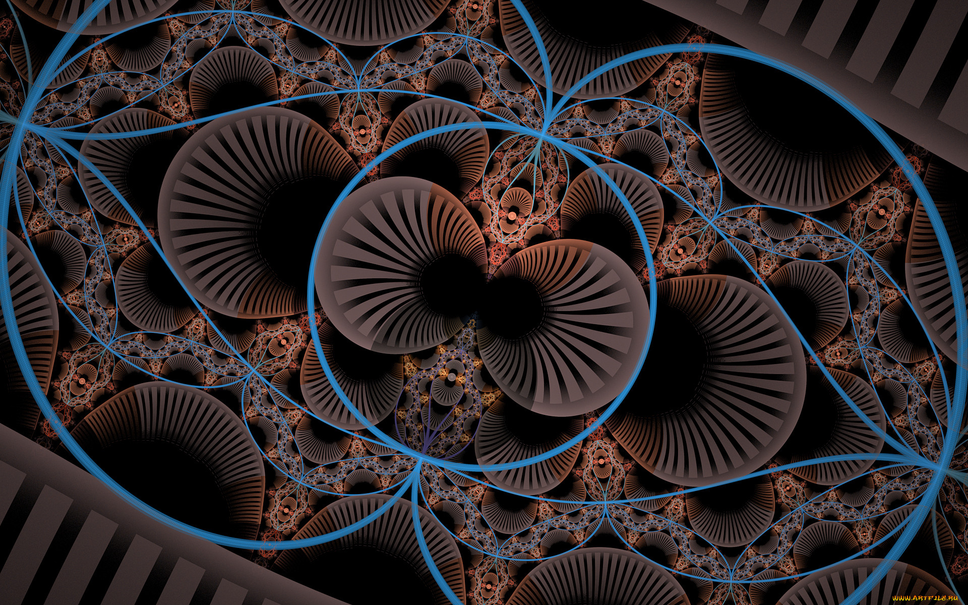 3 ,  , fractal, , , 
